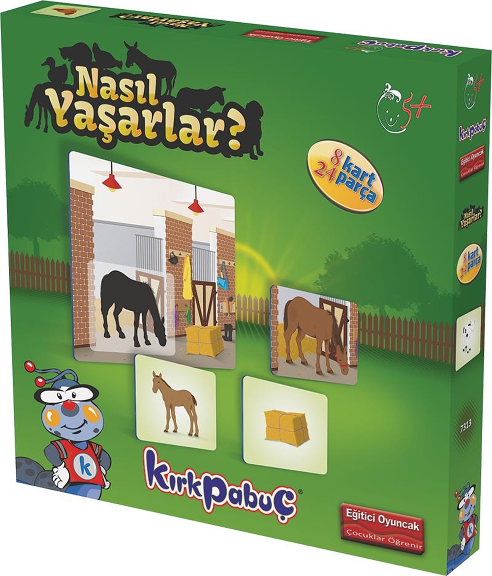 Kırkpabuç Nasıl Yaşarlar?-24+8 Parça