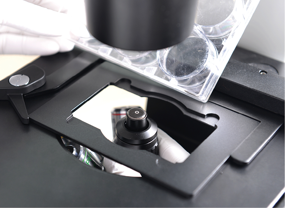 AG-1 Gem Mikroskop (Jewellery)